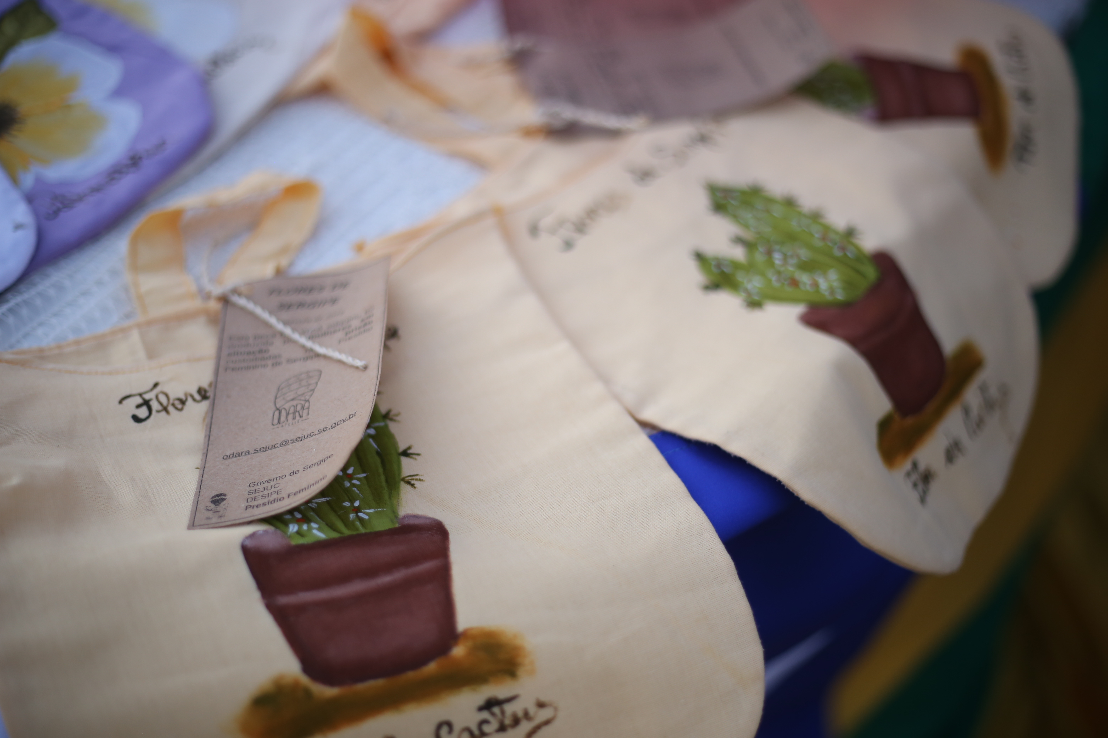 Exposição “Flores de Sergipe” mostra trabalho feito com internas do Presídio Femino em homenagem ao Dia da Sergipanidade