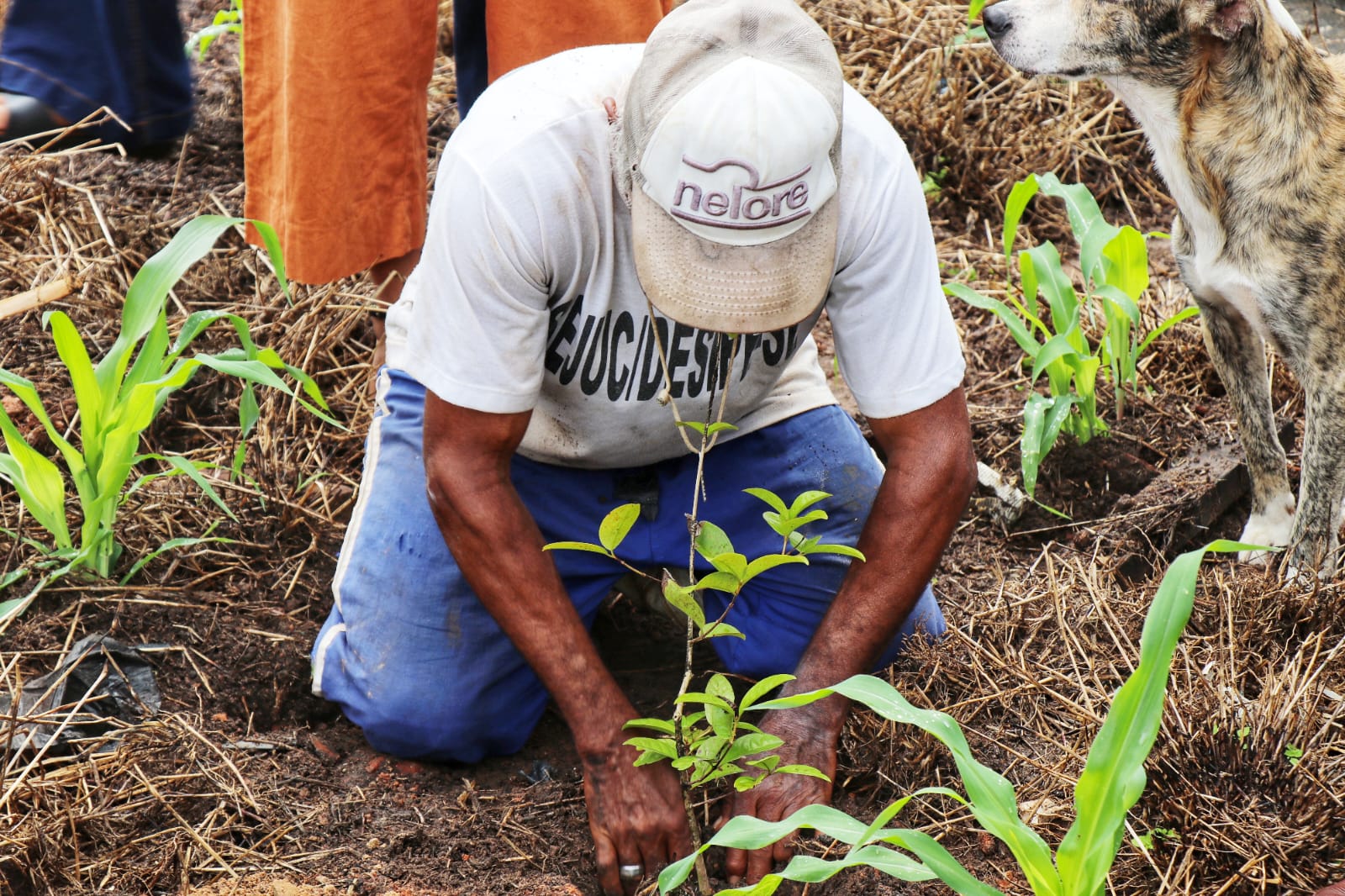 Copemcan recebe projetos da Prefeitura de São Cristóvão e Deso