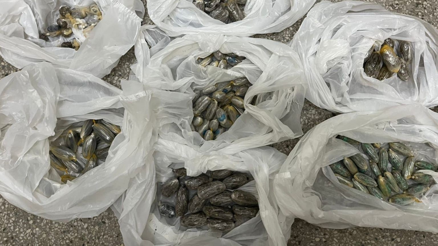 Ação conjunta flagra 23 internos tentando entrar com drogas no Presídio Semiaberto de Areia Branca